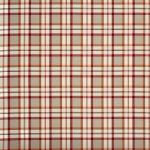 Hatfield Cranberry (ptc100)